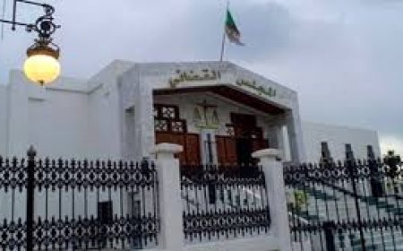 نحو التحقق من صحة التسجيل المنسوب لبرلمانية سكيكدة