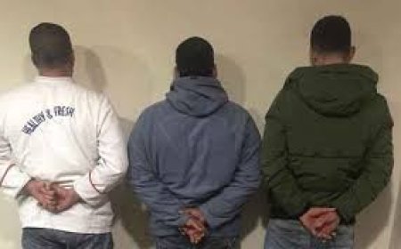 عصابة  تنفّذ 18 عمليّة سرقة لمنازل ومحلات بسيدي عمار 
