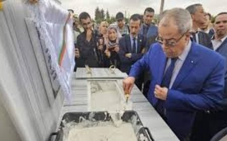 إنجاز مصانع لإنتاج الأنسولين ومواد أولية لأدوية أمراض القلب ومضادات السكري في باتنة