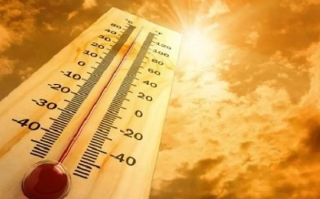 موجة حر مرتقبة يومي الجمعة والسبت على بعض ولايات وسط وشرق البلاد