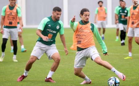 ثلاثة خيارات متاحة امام بيتكوفيتش لتعويض براهيمي المصاب اليوم امام أوغندا