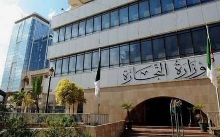 تسويق خلطات عشبية مضرة بالبشرة في بعض صالونات التجميل و"المساج"  