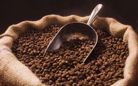 توقيف سارق القهوة بباتنة