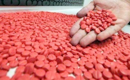  حجز  أكثر من  374 ألف كبسولة مهلوسة من نوع بريغابالين 300 ملغ ببشار