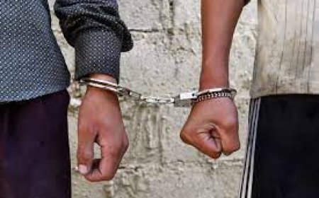 توقيف عصابة تستعمل كلبا في سرقة المنازل بالمسيلة