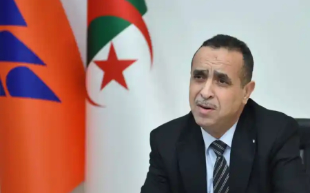 الرئيس المدير العام لمجمع سونلغاز مراد عجال" : "صيف سنة  2024 سيكون أحسن بكثير من الصيف المنصرم من حيث توفر التيار الكهربائي"