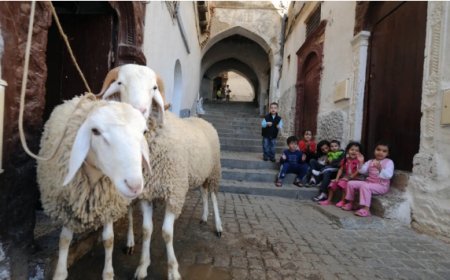 أيام الأحد والاثنين والثلاثاء عطلة مدفوعة الأجر