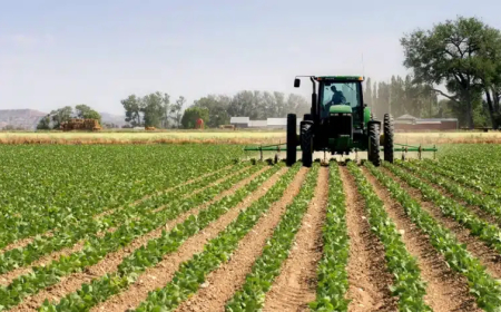  قطاع الفلاحة  يشارك بنسبة 18% في الانتاج الداخلي  