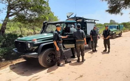 تكثيف الدوريات بالغابات لمكافحة الحرائق  بعنابة