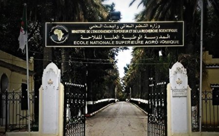 مسابقة حول الذكاء الاصطناعي