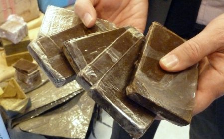 الإطاحة بجماعة إجرامية للمتاجرة بالمخدرات متكونة من 07 افراد ببجاية