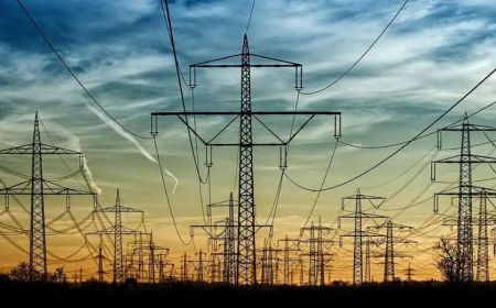 الجزائر تعرف ارتفاعا حاداً في استهلاك الكهرباء