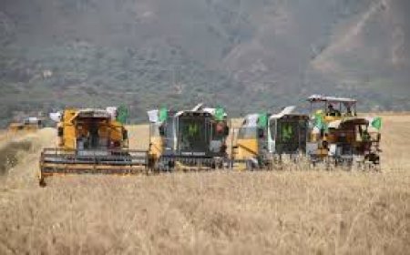 انطلاق حملة الحصاد والدرس من بلدية السطارة بجيجل 