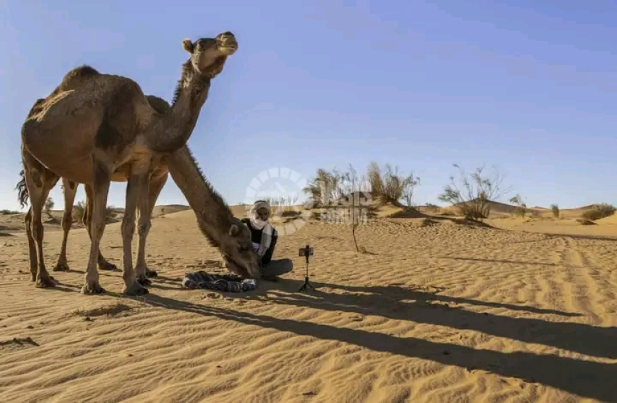 صورتان جزائريتان ضمن الـ 10  TOP عالميا