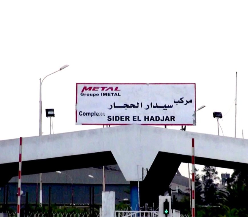 تنصيب الأمين العام الجديد لمركب سيدار الحجار