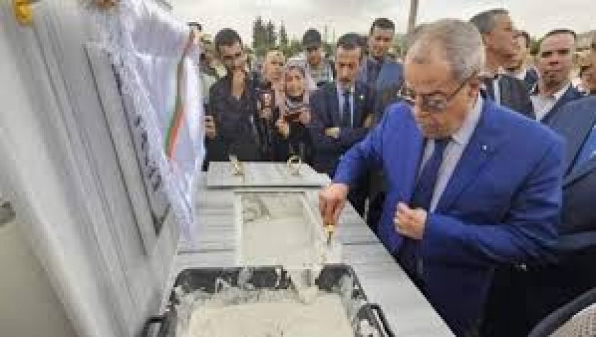 إنجاز مصانع لإنتاج الأنسولين ومواد أولية لأدوية أمراض القلب ومضادات السكري في باتنة