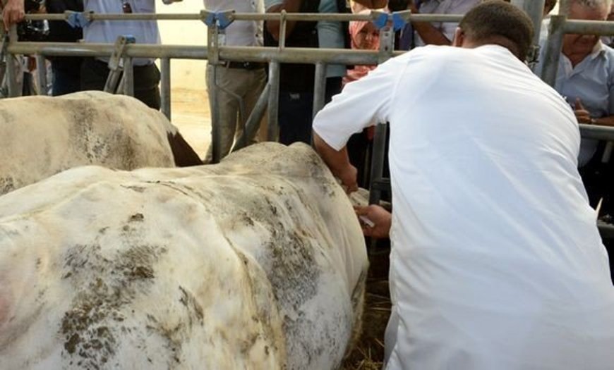 عنابة : غلق الأســواق الأسبوعيــة للماشيــة  بكامل تراب الولاية