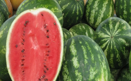 أسعار " الدلاّع " تصدم روّاد الأسواق بجيجل 