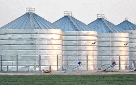 مخزن جواري للحبوب ب"هليوبوليس"