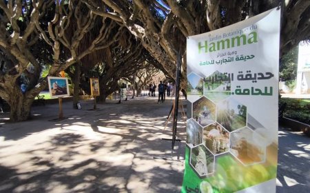 مبادرة "طيبة"