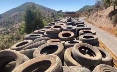 جمع 1600 عجلة مطاطية من الغابات بالبليدة