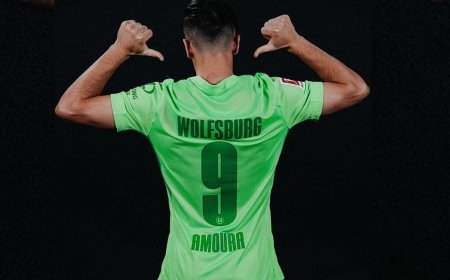 قبل عمورة:  12 لاعبا جزائريا سطعوا في سماء الدوري الألماني