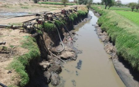 لا يحدث إلا في ولاية الطرائف 