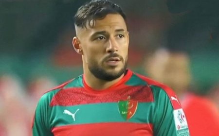 صدمة بيتكوفيتش من تصرفات بلايلي تبلغ ذروتها وعودة اللاعب الى صفوف الخضر أصبحت ضربا من الخيال