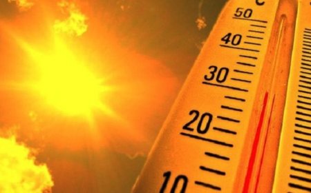 موجة حر تتجاوز 49 درجة بعدة ولايات