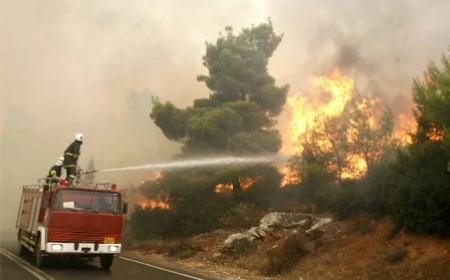 التحكم النهائي في حريق جبل فاخرة بمروانة بفضل الدعم المقدم