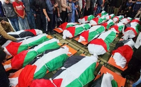 استشهاد 300 رياضي فلسطيني