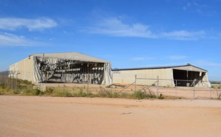 استرجاع أزيد من 3100 هكتار من العقار الصناعي والفلاحي بباتنة