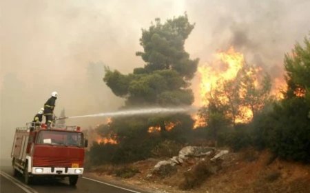 نقطة بيع خمور غير شرعية وسط الغابة وراء حريق جبل مروانة بباتنة