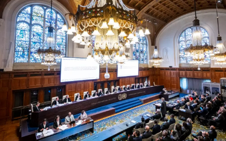 اجماع دولي على أن قرار العدل الدولية تاريخي و يلزم الكيان الصهيوني المحتل على تنفيذه