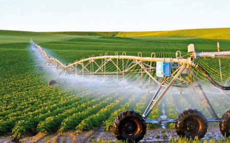 نحو استحداث مؤسسات زراعية مصغرة في عدة مناطق