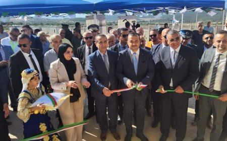 عنابة: وزير الطاقه والمناجم محمد عرقاب  يدشن محولين للطاقة بذراع الريش ويوكد على وجود فائض من الطاقة الكهرباىية بالولاية