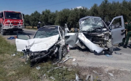 هلاك 310 أشخاص وإصابة 1286 آخرين في شهر واحد