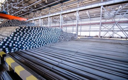 تصدير ''توسيالي الجزائر'' 150 ألف طن من الحديد نحو إسبانيا