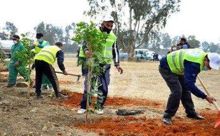 أخيرا .. يتحركون