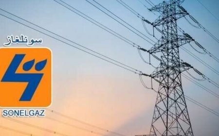 سونلغاز تتكفل بإنجاز محطة لتوليد الكهرباء في النيجر كهبة من الجزائر