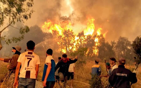 السنة النيران تلتهم الهكتارات من الغابات و الأحراش بقرى و مداشر تيزي وزو