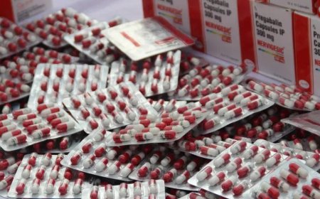 حجز قرابة الـ 20 ألف كبسولة مهلوسة بالمسيلة