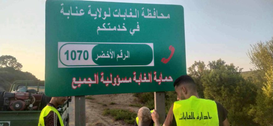 محافظة الغابات لولاية عنابة a تهيئ 52كلم مسلكا غابيا