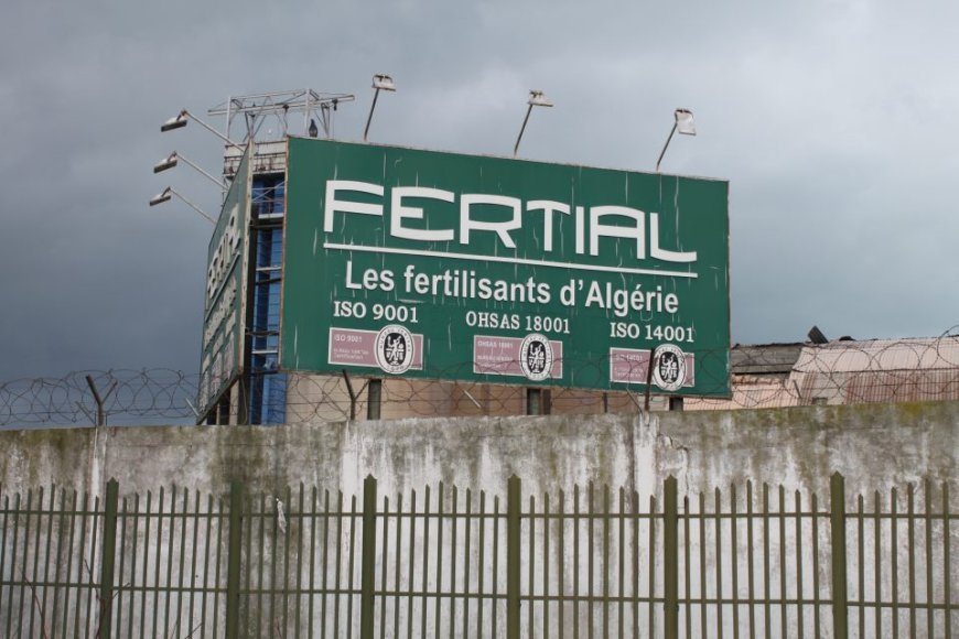 عمال مؤسسةفرتيال عنابة  يحتجون أمام مقر الاتحاد الولائي الاوجيتيا