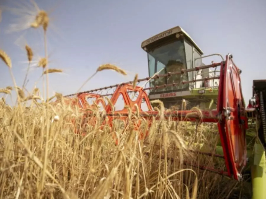 الجزائر- ايطاليا: التوقيع على اتفاقية إطار لإنجاز مشروع لإنتاج الحبوب والبقوليات بتيميمون