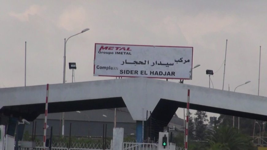 نحو إبرام إتّفاقيّة مهمّة بين مجمّع سيدار وسوناطراك 