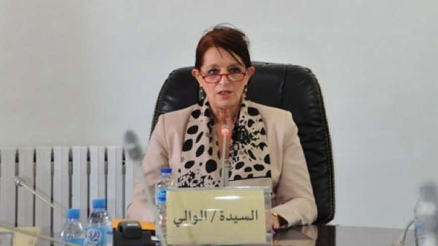 لجنة تفتيش بخصوص المشاريع المسيرة من قبل البلديات بسكيكدة