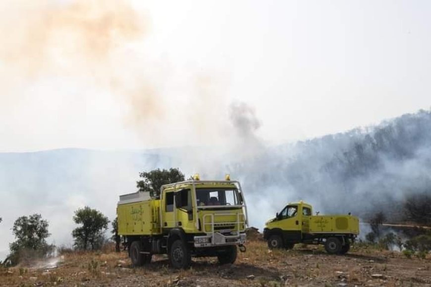 الحماية المدنية التونسية تشارك في إخماد حريق عين الزانة بسوق أهراس