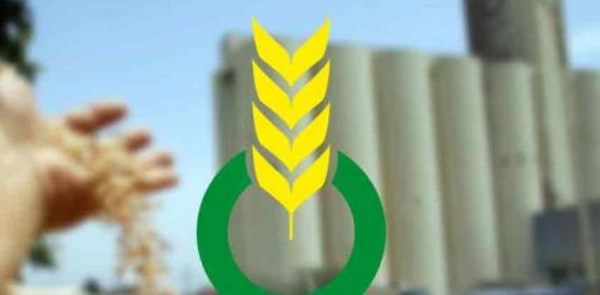 توقيف 03 موظفين تابعين لتعاونية الحبوب و البقول الجافة بالمسيلة
