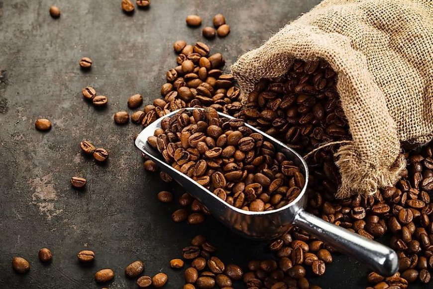 اتخاد التجار يشرع في مرافقة  عملية   توزيع البن 